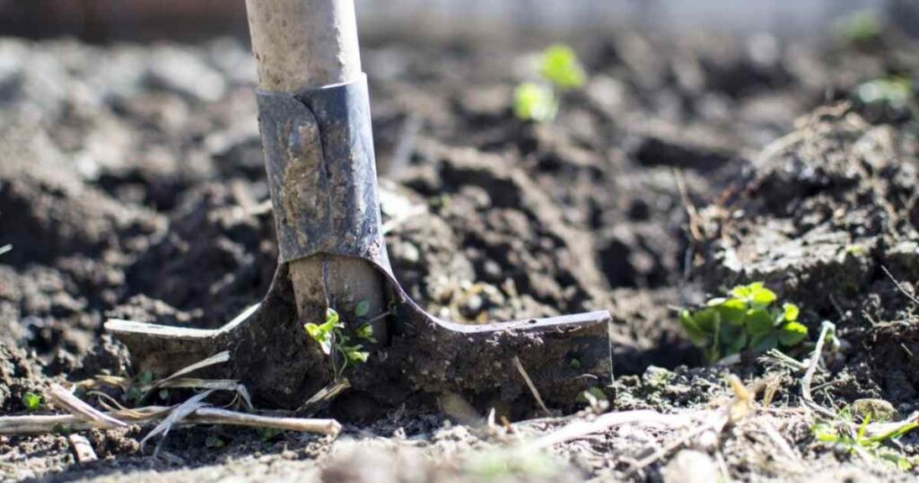 Start a Business in the Agriculture Sector