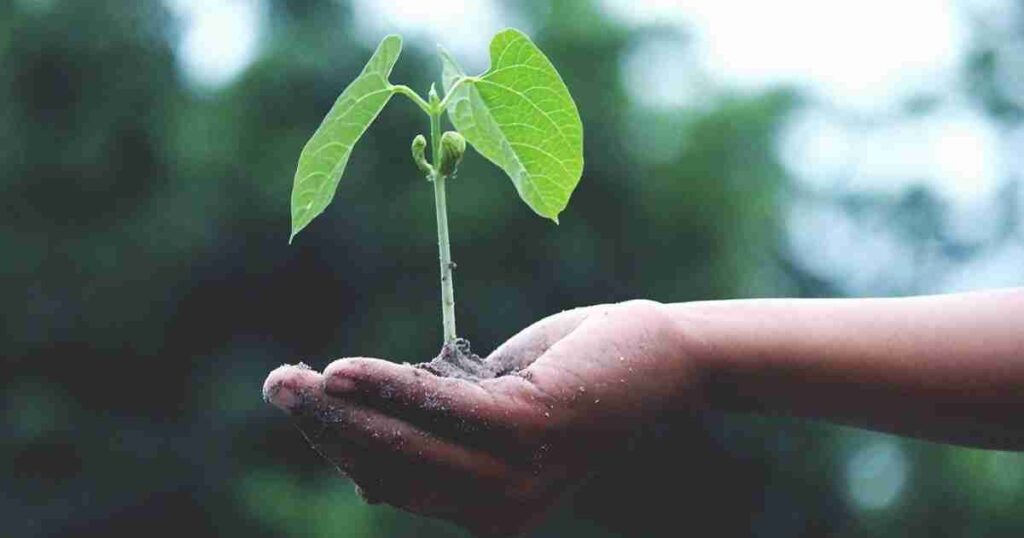 4 Black-Owned Companies That Have Been Funded By Old Mutual’s Masisizane Fund You Should Know About