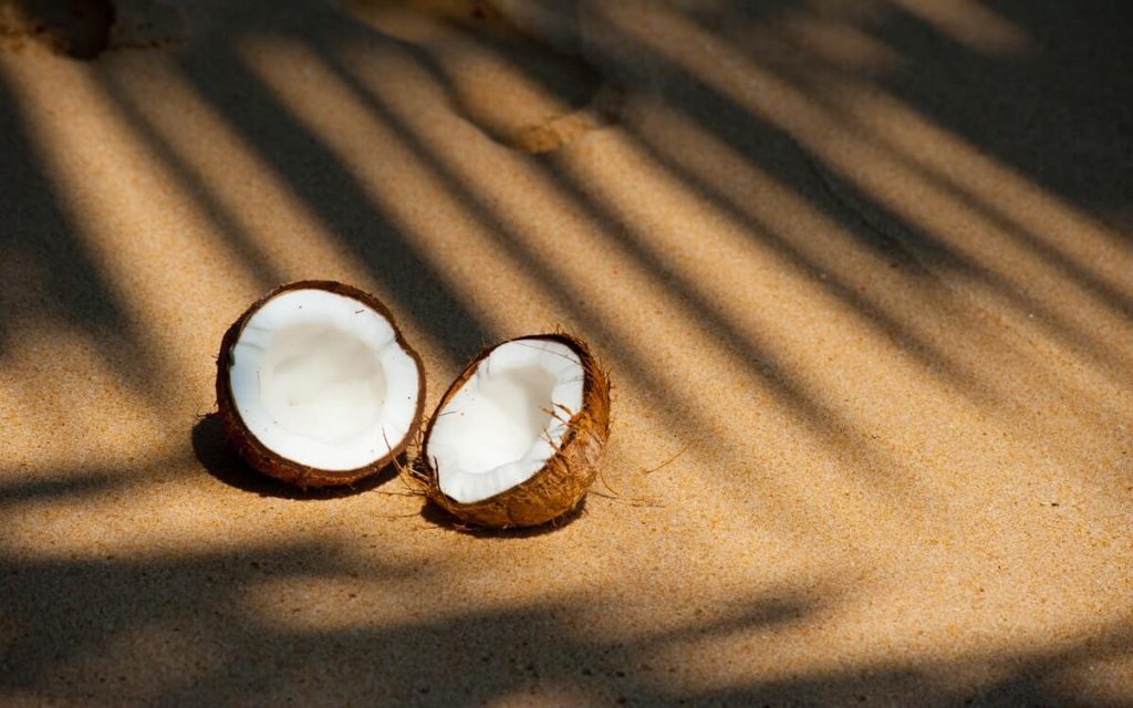Beach coconut delicious food (2)