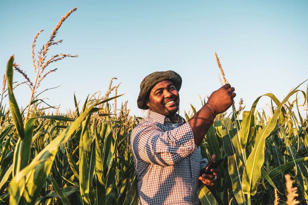 how to start a farming business in south africa 