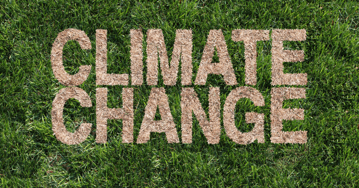 climate change for smes in south africa