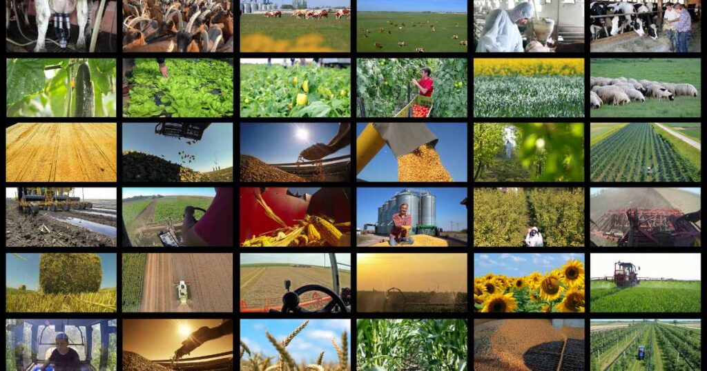 Funding for Agricultural Start-Ups | SME South Africa