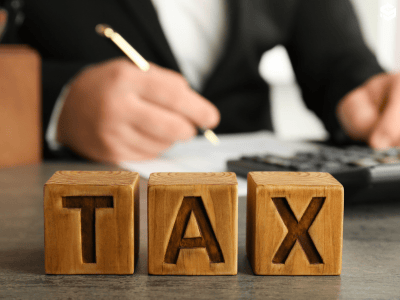 Essential Guide to Small Business Taxes