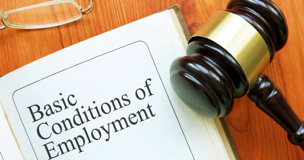 Basic conditions of employment