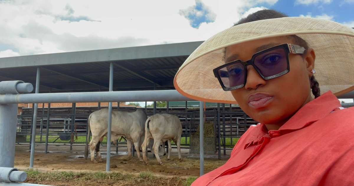 South African Woman in Agriculture: From Subsistence to Success