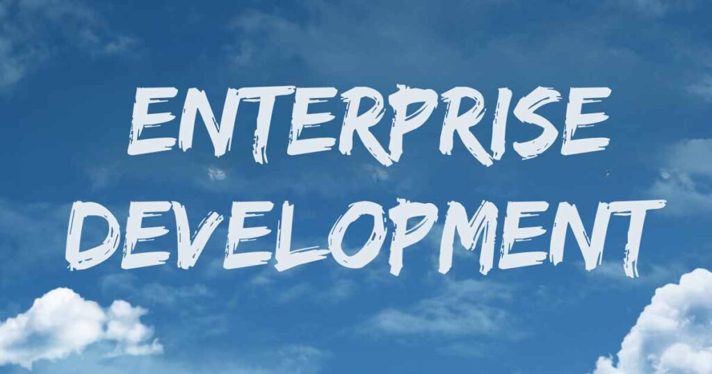 Unpacking The Enterprise Development