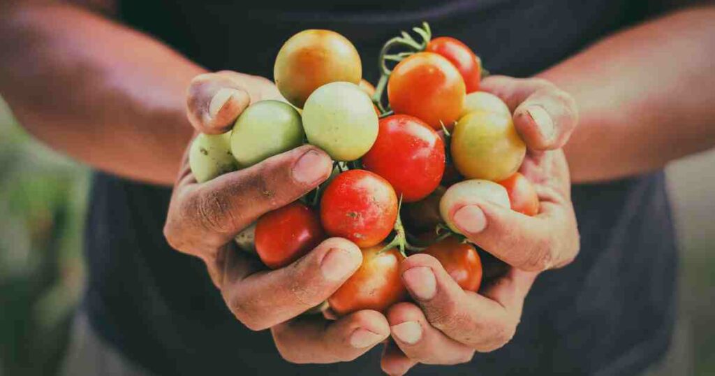 Agri-industrial fund