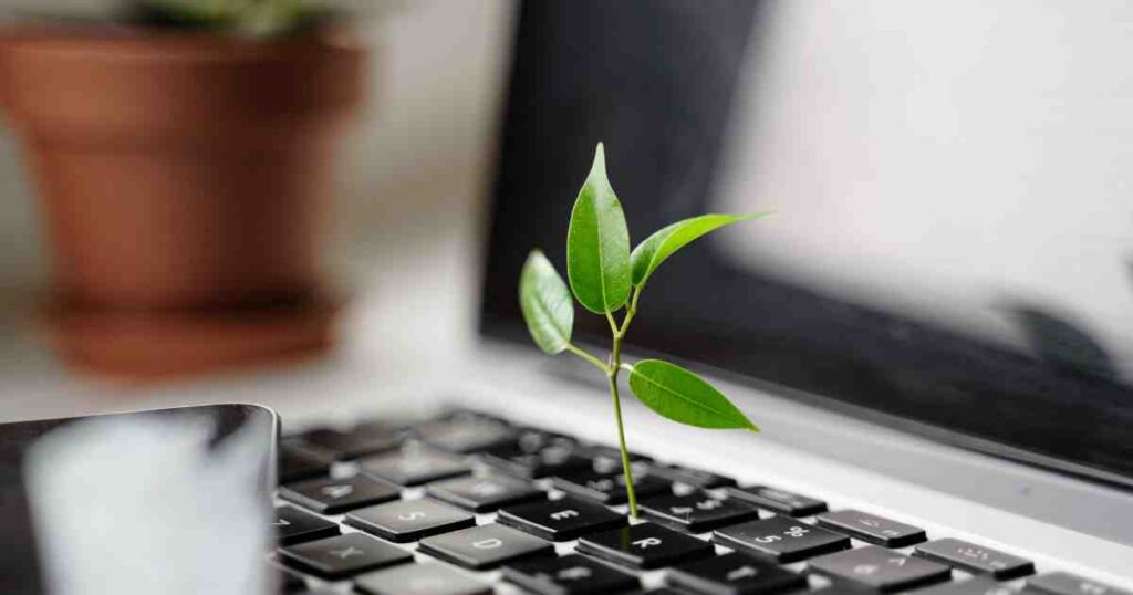 Sustainable business practices