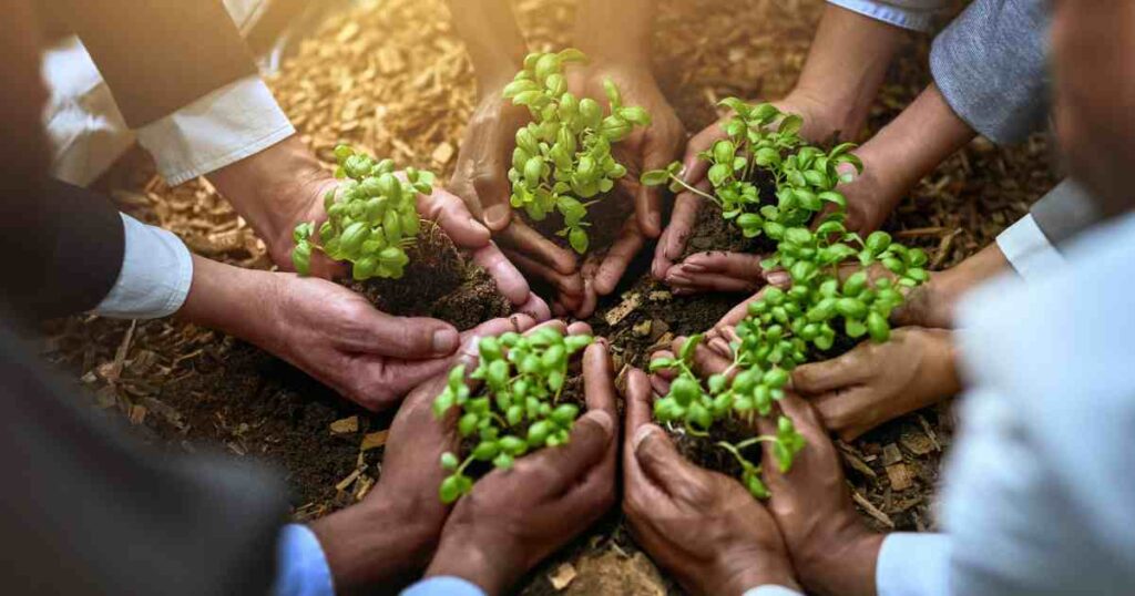 https://accountancyeurope.eu/wp-content/uploads/2023/11/5-reasons-why-sustainability-matters-for-SMEs-.pdf