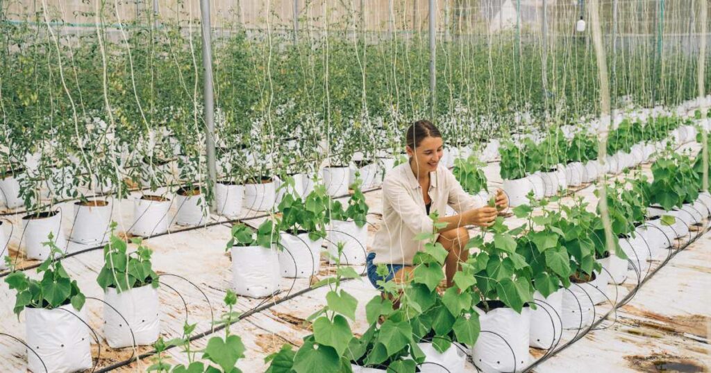 The Rise of Agri‑SAAS: SaaS Startups Redefining Farm Efficiency