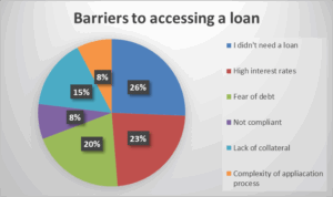 Barriers to accessing a loan