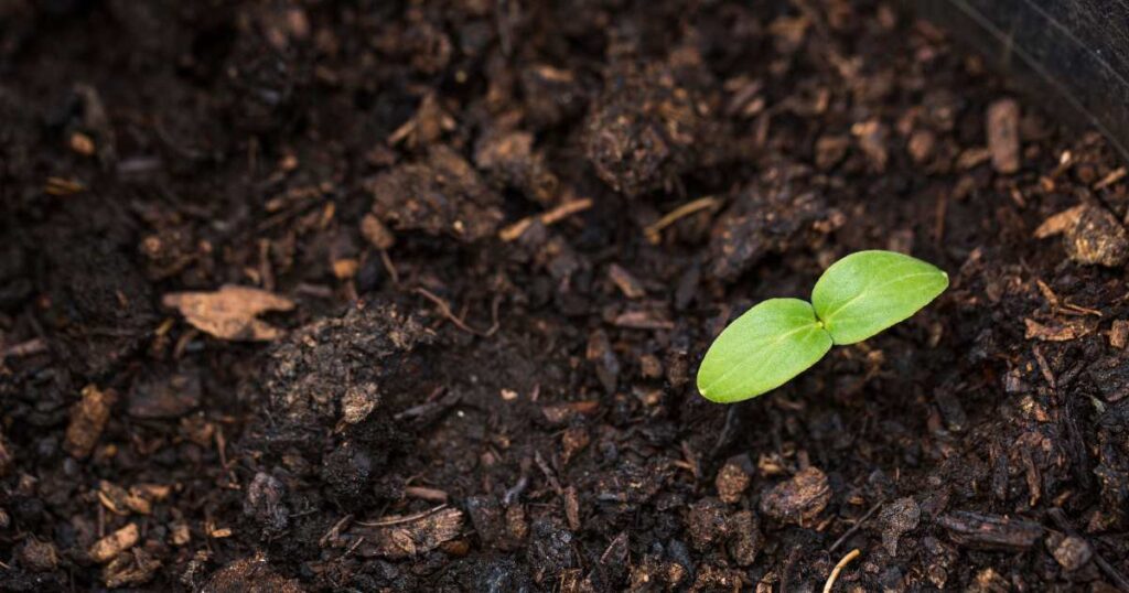 Lead Generation, Nurturing and Conversion