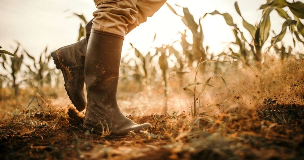 Stokvels and Crowdfunding as a Financial Solution for Farmers