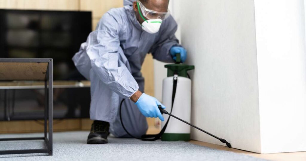 How to Start a Pest Control Business