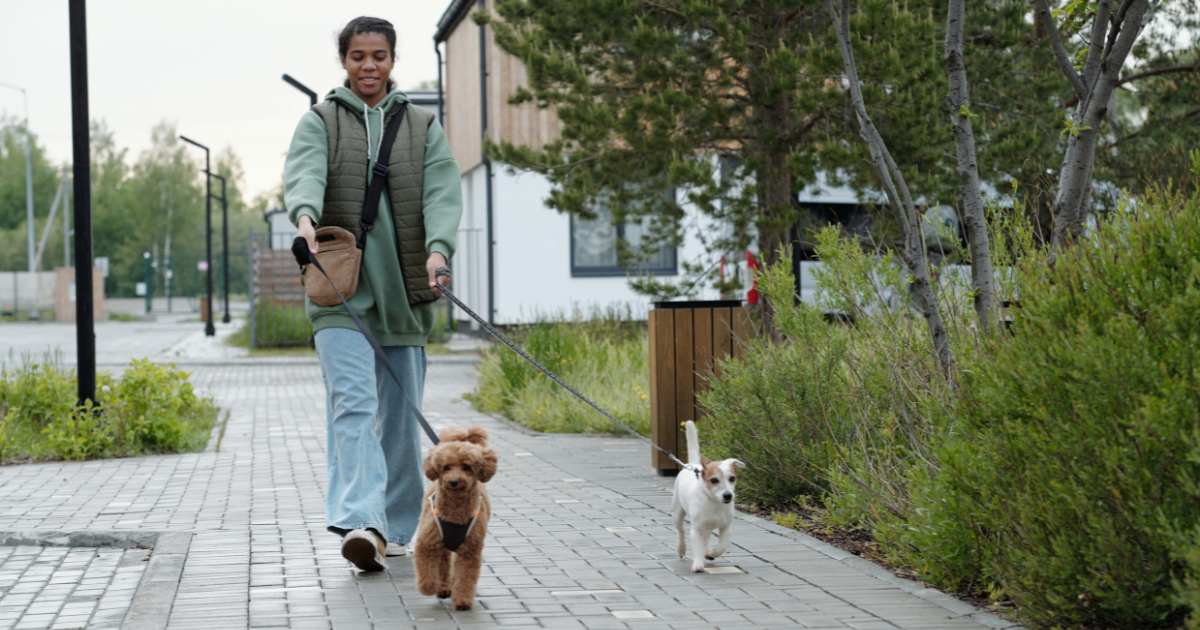 house-sitting business ideas