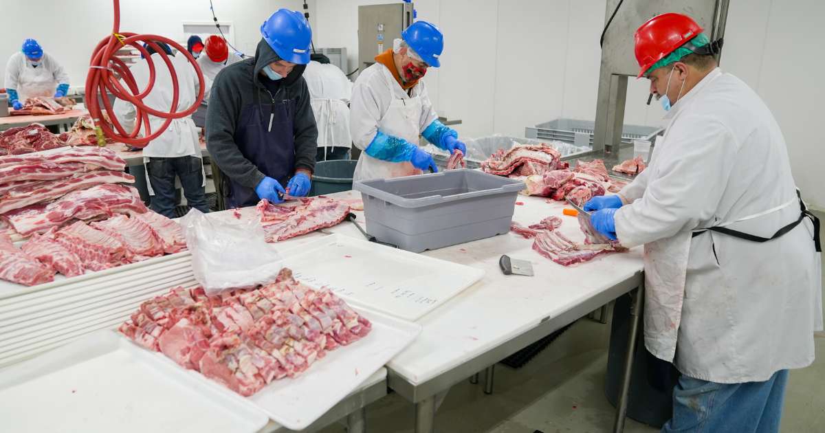 Agro-Processor Scale-Up Programme Open For Applications