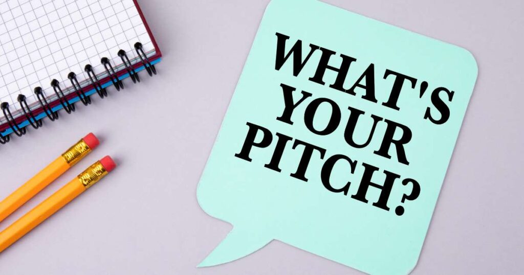 What Goes Through a Financiers Mind When SMEs Pitch