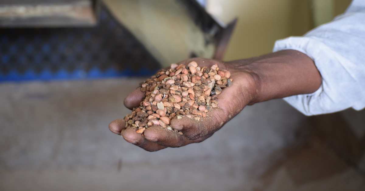 How Tiger Brands Helps Farmers