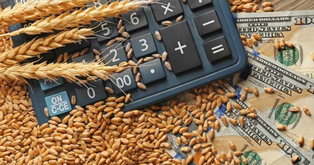 Why Stable Interest Rates Matter for South African Agribusinesses